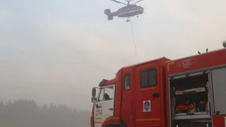 В Рязанской области остались 3 очага лесных пожаров