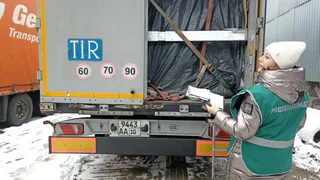 В Чувашию отгрузили 21 тонну сушеных овощей из Узбекистана