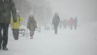 Несколько районов Коми накрыло сильным снегопадом