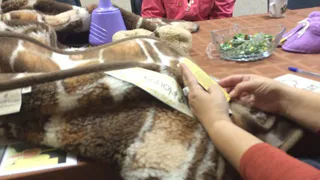 Рязанцам снова впаривают синтетические одеяла за безумные деньги