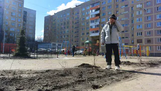 «Засохшие саженцы, разбитый тротуар и хлипкий заборчик»: журналисты Pro Города посетили благоустроенный двор по улице Новосёлов