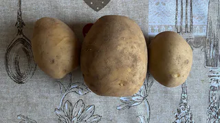 В Коми активно готовится к началу весенне-полевых работ