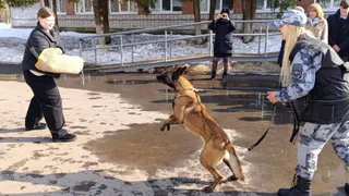 Полицейские-кинологи провели урок профориентации для ставровских школьников