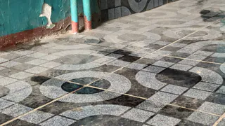 Дезинфекция грязи: ЖЭУ №9 не выполняет даже элементарных обязательств по уборке подъездов