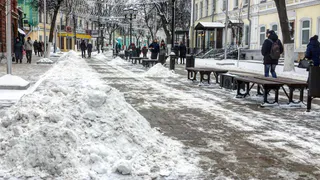 В сети набирает популярность петиция с требованием наладить уборку снега в Рязани