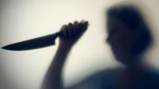 Пьяная жительница Унечи зарезала сына в своём доме