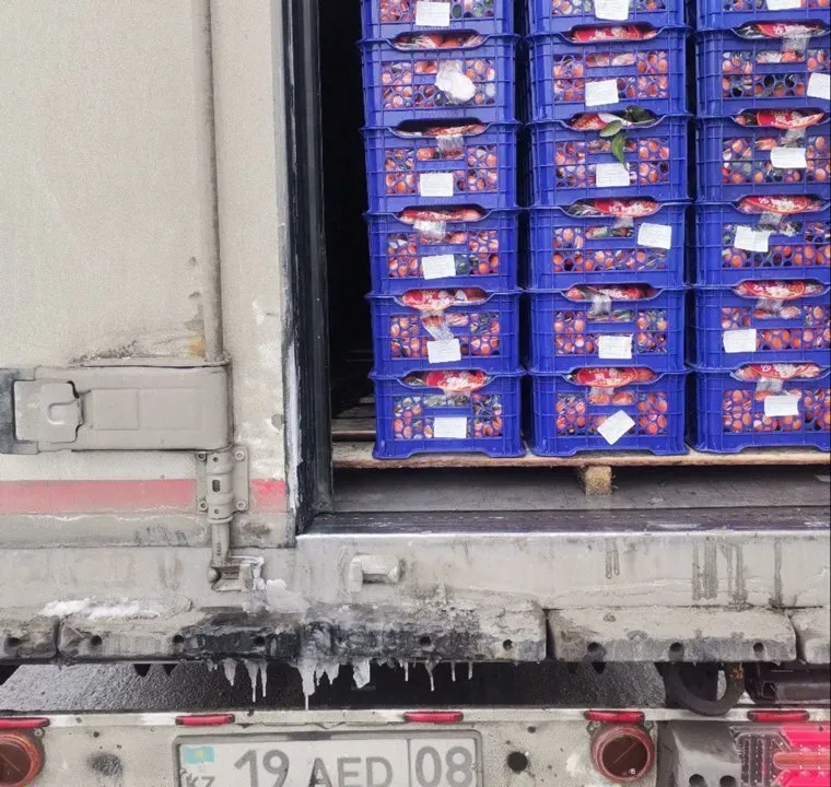 Россельхознадзор запретил ввоз в Челябинскую область 47 тонн фруктов, овощей и саженцев