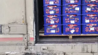 Россельхознадзор запретил ввоз в Челябинскую область 47 тонн фруктов, овощей и саженцев