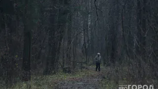 В Коми нашли мужчину, который уехал в лес на велосипеде и пропал