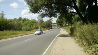 Придорожные деревья угрожают автомобилям в поселке Строитель