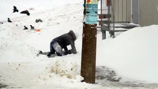 Скользкая Рязань возвращается - в среду синоптики прогнозируют сильную гололедицу