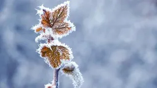 Европейская Россия встречает первые заморозки