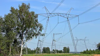 Во Владимирской области расчистят трассы 18 магистралей электропередачи