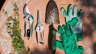 Подготовка садовых инструментов к новому сезону: осмотр, очистка и обслуживание