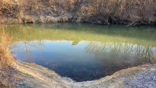 Водоемы обмелели: рязанские рыбаки обратились к Николаю Любимову
