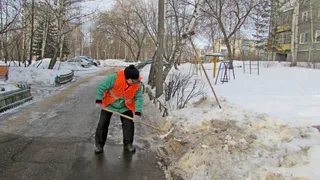 Упала и разозлилась: пьяная рязанка напала на дворника