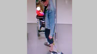 В торговом центре Рязани собака покусала ребенка