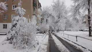 Погода в Коми 7 января: небольшой снег, в Воркуте метель
