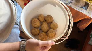 Вот почему немцы часто носят с собой сырую картошку — привычка странная, но в быту оказалась очень полезной