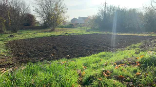 Пензенским дачникам напомнили о штрафах за кактусы с мескалином и борщевик