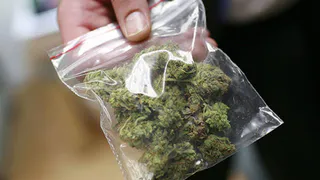 Рязанские полицейские задержали двух мужчин, хранивших дома марихуану