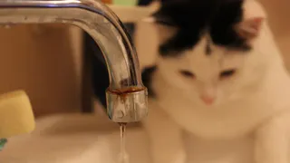 В Борках на весь день отключат воду