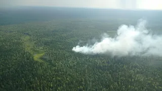 В Коми резко увеличилось количество лесных пожаров из-за гроз и неосторожности