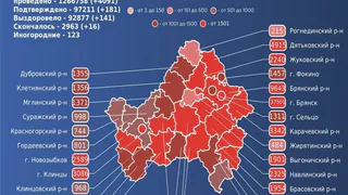 За сутки коронавирус унес жизни 16 брянцев