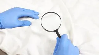 Тревога! В доме клопы