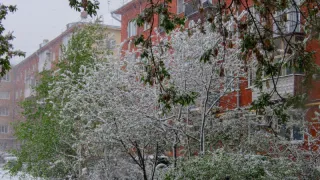 К нам идут мощные заморозки: в каких городах ожидается сильнейший "минус" - прогноз от синоптиков