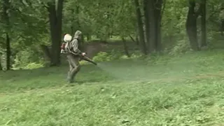 Рязанские парки обработали ядом от клещей