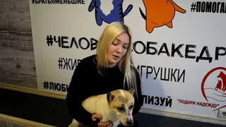 В Брянске откроют первый центр реабилитации для собак-инвалидов