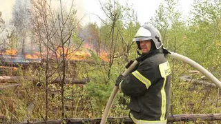 Пожары в Кудомском лесничестве Рязанской области пока не локализованы