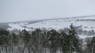 Рязанцы не дадут "закатать" Солотчу  в асфальт и бетон