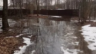 В СНТ «Связист» из-за подъема воды в Клязьме подтопило несколько участков