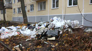 Сорокина возмутилась проведением капремонта на улице Костычева в Рязани