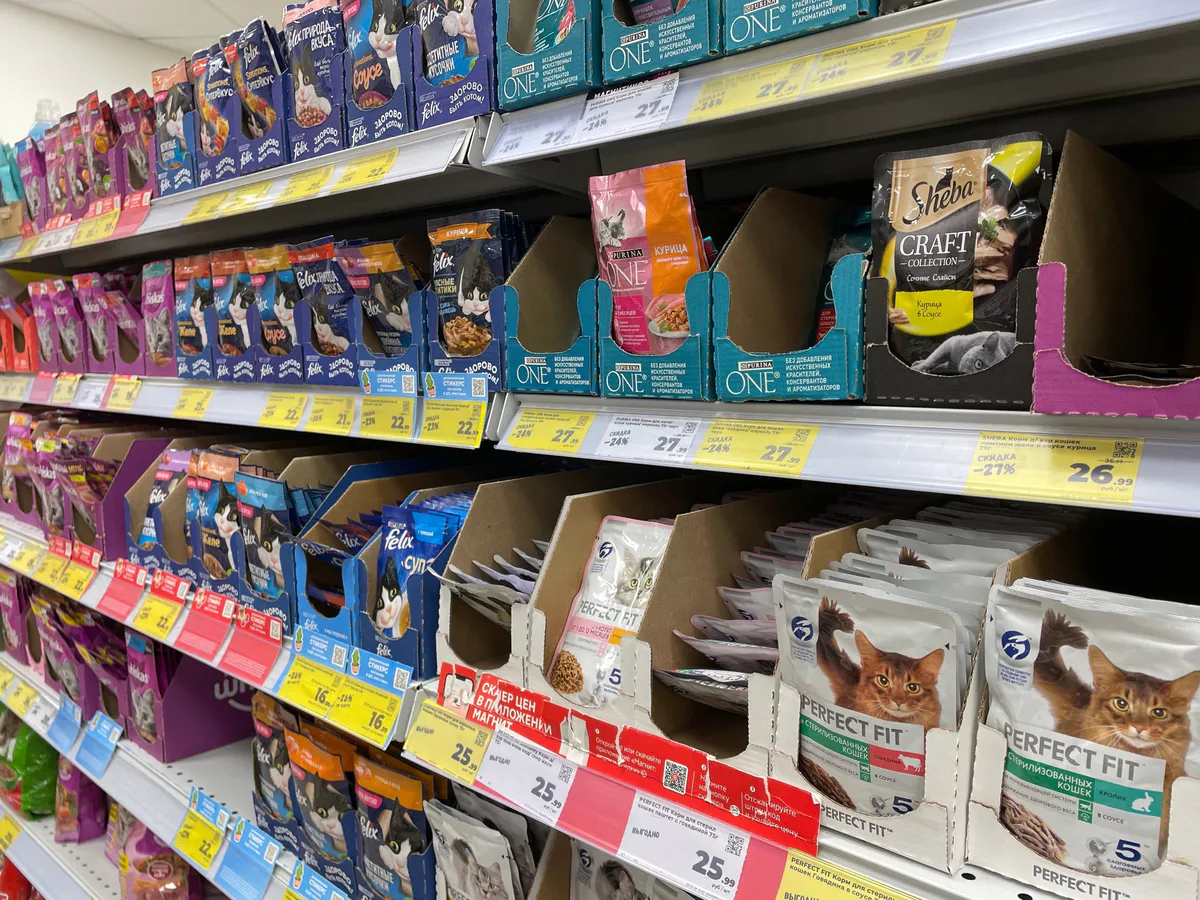 "Не травите этим кошек": в Роскачестве назвали худшие марки корма для питомцев