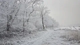 Синоптики предупредили об "оранжевом" уровне опасности во Владимирской области