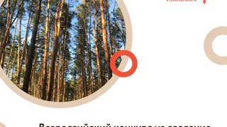 Поддержим Рязанскую красоту: Центр развития туризма заявил проект на эколого-туристский кластер “Паустовский”