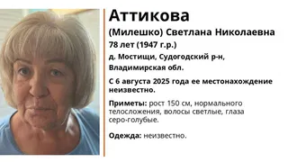 В Судогодском районе разыскивают пропавшую 78-летнюю женщину