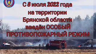 На Брянщине введён противопожарный режим