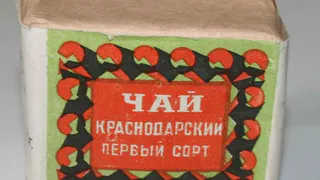 Названы пять популярных продуктов времен СССР, которые канули в Лету