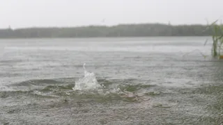 Ему было 17 лет: в Шиловском районе утонул молодой человек