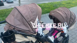 Бесплатная помощница или поддержка рублем: что думают пензенцы о новом проекте «социальная няня»