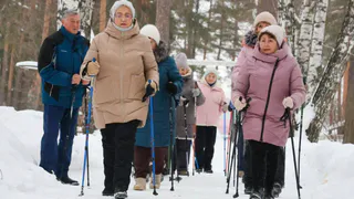 Здоровье любой ценой: в области действует свыше 120 школ скандинавской ходьбы