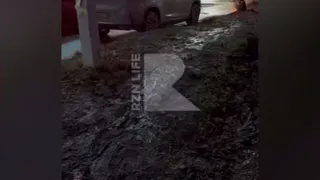 Жители Рязани пожаловались на грязь на пешеходной дорожке