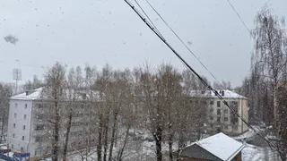 В Коми 1 ноября ожидаются небольшие осадки и похолодание