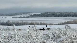 В Татарстане обнаружено свыше 100 гектаров земли под туристические цели