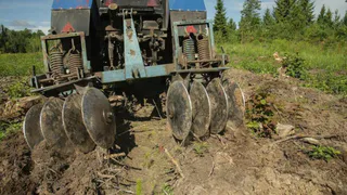 В Брянской области продолжают уход за молодыми лесами по нацпроекту