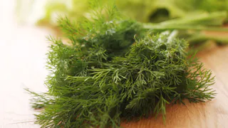 Будет свежим даже зимой: секретный способ сохранить свежесть и аромат зелени на целый год